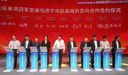 交流会最新爆料,行业动态与未来趋势深度解析