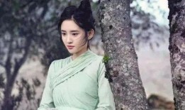 明星演技爆料大全最新,明星演技爆料大全深度解析