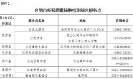 武汉核酸最新爆料通知,揭秘病毒检测背后的真相与挑战