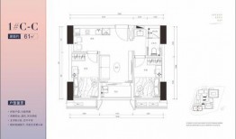 cfm道聚城最新活动消息爆料
