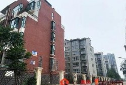 石家庄桃园最新爆料信息,揭秘项目最新进展与亮点