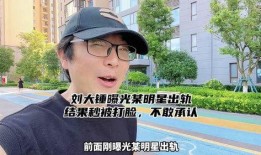 刘大锤最新爆料出轨,娱乐圈明星出轨风波再起