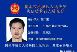 衡水最近爆料案件最新,最新案件细节曝光，真相令人震惊！