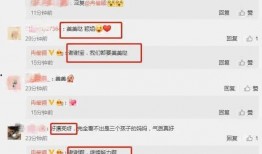 最新大瓜爆料视频大全播放,揭秘娱乐圈幕后真相