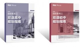 最新手册爆料,深度解析行业变革与未来趋势