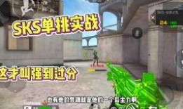 cf职业选手最新爆料,最新爆料揭示赛场幕后真相