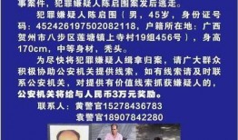 广西贺州最新爆料案件,神秘命案背后真相揭晓