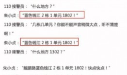 衡水最近爆料案件最新,最新案件细节曝光，真相令人震惊！